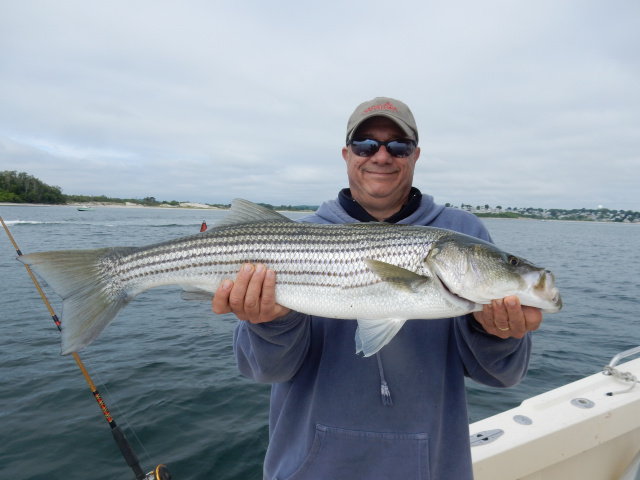 John's live lined striper